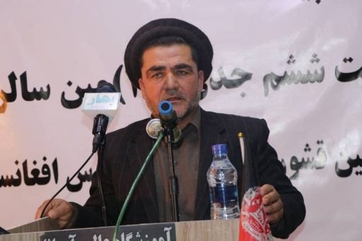 شورای ولایتی