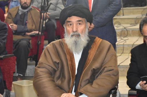 سید هادی هادی