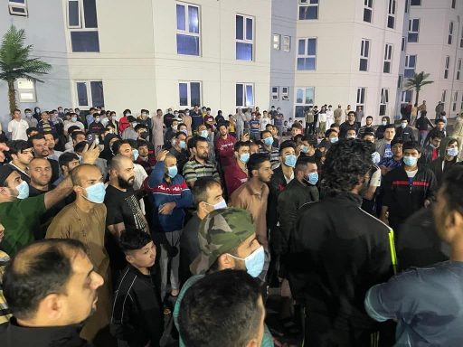 پناهجویان