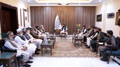 مولوی عبدالکبیر ادعا کرد: بدون تبعیض خدمات ارائه میکنیم