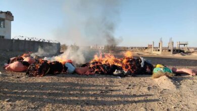 بیش از ۵ هزار کیلوگرم موی زنان در نیمروز سوزانده شد