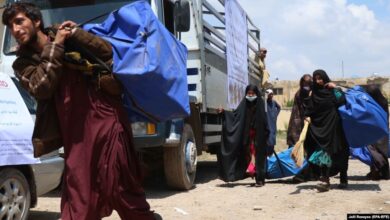 فعالیت ۴۵ موسسه آمریکایی در ۲۸ ولایت کشور تعلیق شد