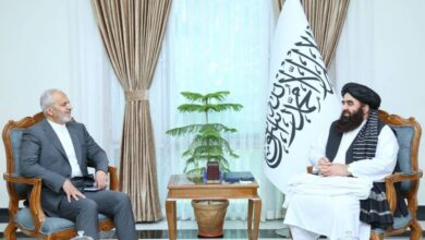 سفیر ایران با متقی دیدار کرد