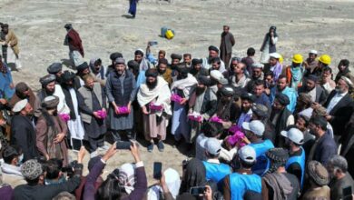 169 پروژه انکشافی در ولایت پکتیا کلنگ خورد