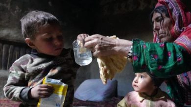 فقر و ناامنی غذایی، زندگی میلیونها کودک افغان را تهدید میکند