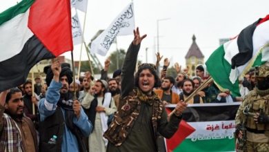 فلسطین، غزه و مردم افغانستان