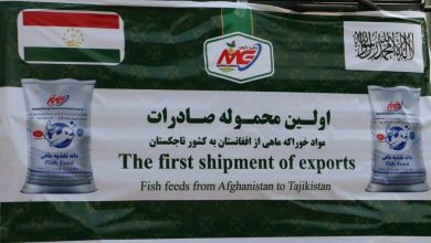 نخستین صادرات ۵۰ تُن غذای ماهی از بلخ به تاجیکستان؛ گامی تازه در توسعه تجارت منطقهای