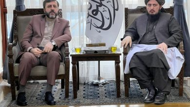 غریبآبادی: مرزهای ایران و افغانستان مرزهای دوستی و همکاری است