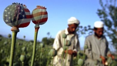 مأموریت پنهان سیا در افغانستان؛ پروژهای ناکام برای تغییر ژنتیکی تریاک
