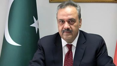 درانی: رهبران تیتیپی باید از طریق اینترپل تحت پیگرد قرار گیرند