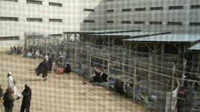 عفو بیش از ۱۹ هزار زندانی؛ بسیاری از زندانیان بیگناه هستند