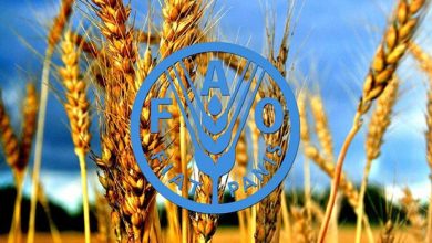 سازمانجهانی غذا: جهان در آستانه فاجعه گرسنگی