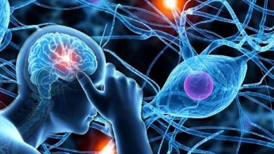 پژوهش تازه: موسیقی خطر ابتلا به زوال عقل را تا ۴۰ درصد کاهش میدهد