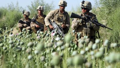 نارکو-تروریزم: افسانهای سیاستساز از افغانستان تا آمریکای لاتین