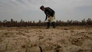 سازمان ملل: خشکسالیهای پیدرپی اراضی افغانستان را در آستانه فروپاشی قرار داده است