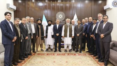 نقش سرمایهگذاران افغانستانی در اقتصاد ایران و رویکرد جدید تهران