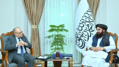 نماینده اروپا در دیدار با متقی بر ادامه حمایتهای بشردوستانه تاکید کرد