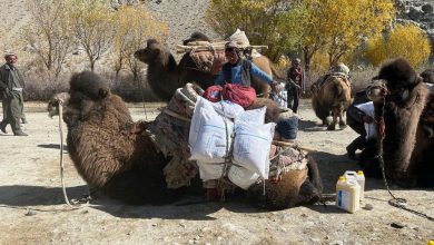 هشدار برنامهجهانیغذا: ۱۷ میلیون نفر گرسنه، 4 میلیون کودک مبتلا به سوءتغذیه در افغانستان
