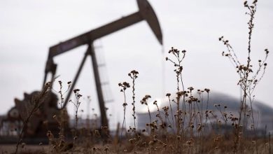 نفت در حالت ثبات؛ معاملهگران در انتظار گفتوگوهای هستهای امریکا و ایران